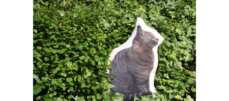 座り猫クッションのイメージ写真。
